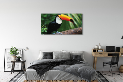 Foto op canvas Toucan op de tak