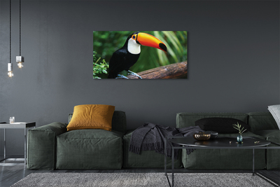 Foto op canvas Toucan op de tak