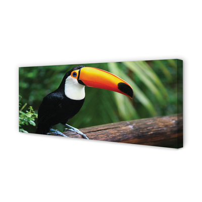 Foto op canvas Toucan op de tak