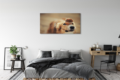 Schilderij op canvas Baby hond
