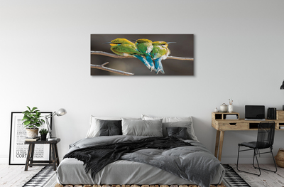Foto op canvas Vogels op de tak