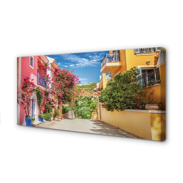 Foto op canvas Griekenland bloemen gebouwen berg
