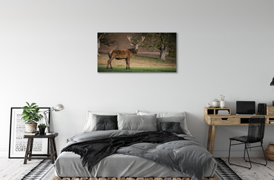 Foto op canvas Herten op het veld