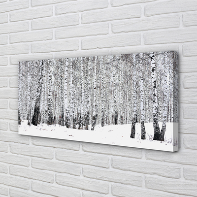 Schilderij canvas Bomen winter snow birches