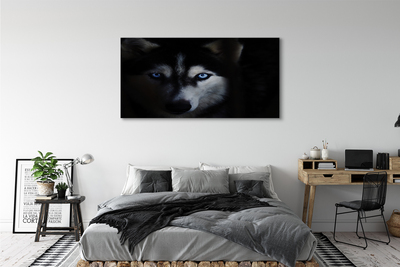Foto op canvas Wolfogen