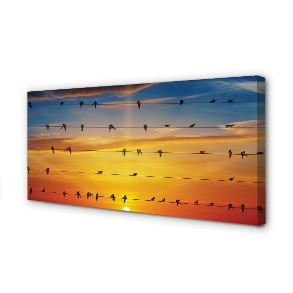 Foto op canvas Vogels op de touwzonsondergang