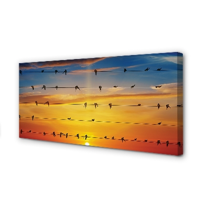 Foto op canvas Vogels op de touwzonsondergang