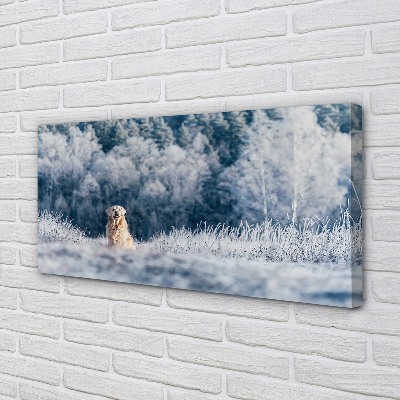 Schilderij op canvas Hondenberg winter