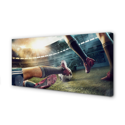 Canvas doek foto Kurken balstadion