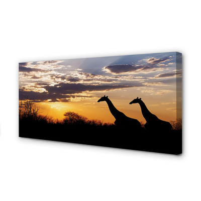 Schilderijen op canvas doek Giraffe-bomenwolken