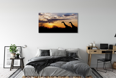 Schilderijen op canvas doek Giraffe-bomenwolken