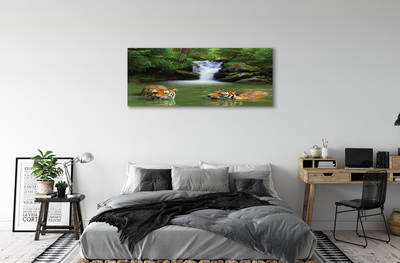 Schilderij op canvas Tijgers waterval