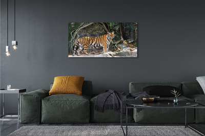 Schilderij op canvas Jungle tijger
