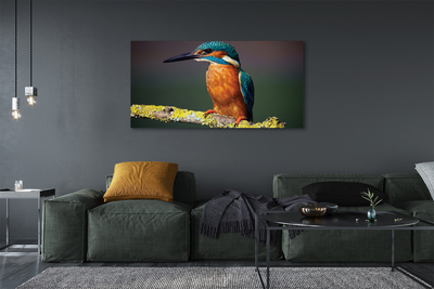 Foto op canvas Een kleurrijke vogel op een tak