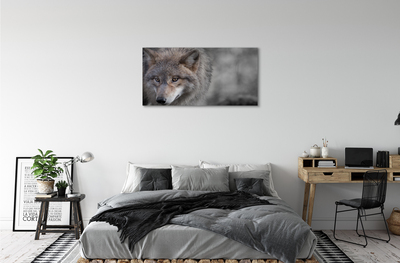 Foto op canvas Wolf