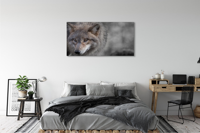 Foto op canvas Wolf