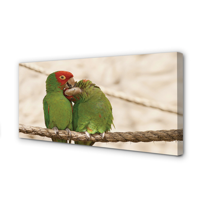 Foto op canvas Groene papegaai