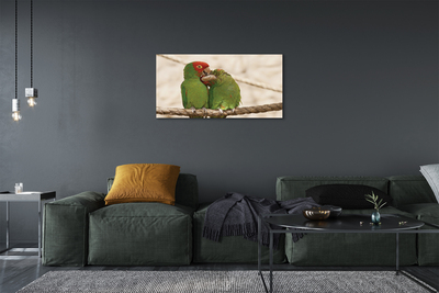 Foto op canvas Groene papegaai