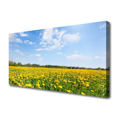 Canvas foto Dandelion meadow