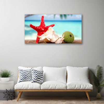 Canvas foto Shell starfish art