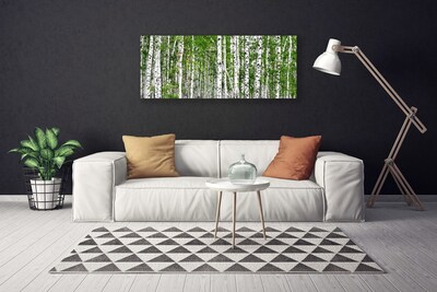 Canvas foto Birch tree forest nature