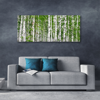 Canvas foto Birch tree forest nature