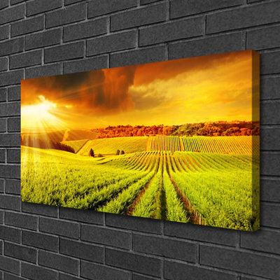 Canvas foto Field landschap van de zonsondergang