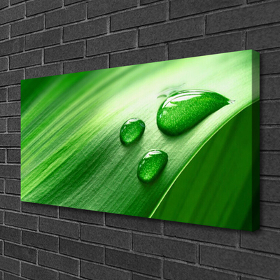 Canvas foto Leaf water drops