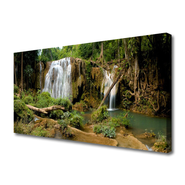Canvas foto Waterval river forest nature