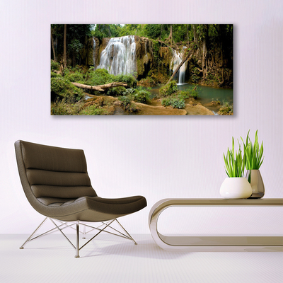 Canvas foto Waterval river forest nature