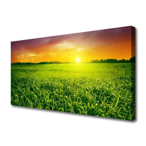 Canvas foto Field sunrise tarwe