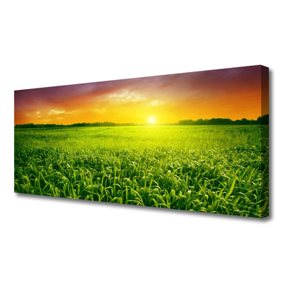 Canvas foto Field sunrise tarwe