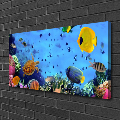 Canvas foto Coral reef fish nature