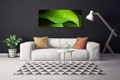 Canvas foto Dauwdalingen leaf