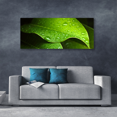 Canvas foto Dauwdalingen leaf