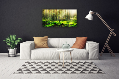 Canvas foto Forest moss nature