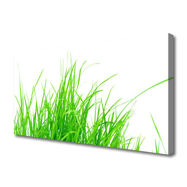 Canvas foto Grasinstallatie