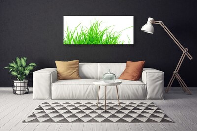 Canvas foto Grasinstallatie