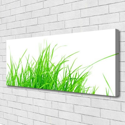 Canvas foto Grasinstallatie