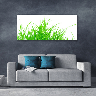 Canvas foto Grasinstallatie