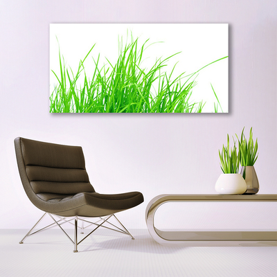 Canvas foto Grasinstallatie