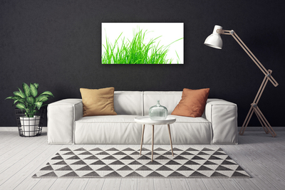 Canvas foto Grasinstallatie