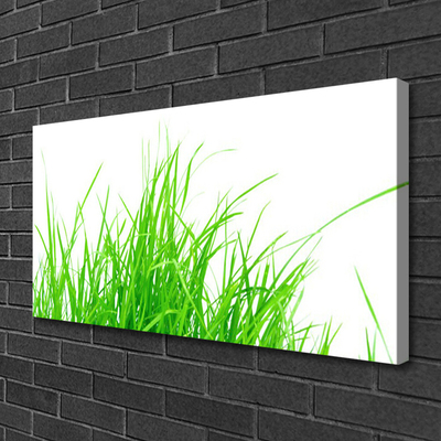 Canvas foto Grasinstallatie