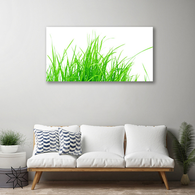 Canvas foto Grasinstallatie