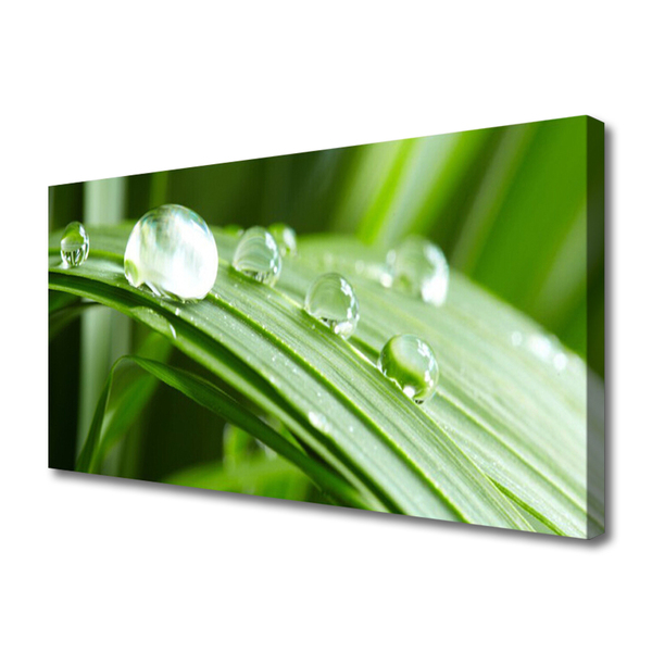 Canvas foto Leaf dew drops