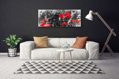 Canvas foto Poppies on the wall