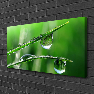 Canvas foto Grass dew drops