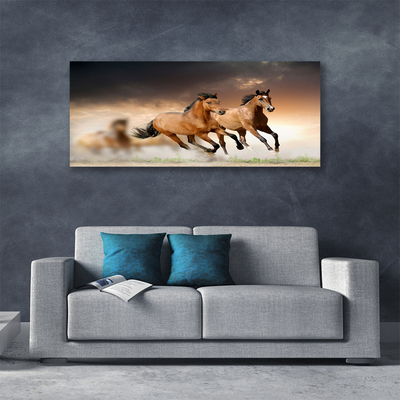 Canvas foto Paarden dieren