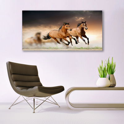Canvas foto Paarden dieren