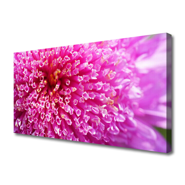 Canvas foto Bloem op muur